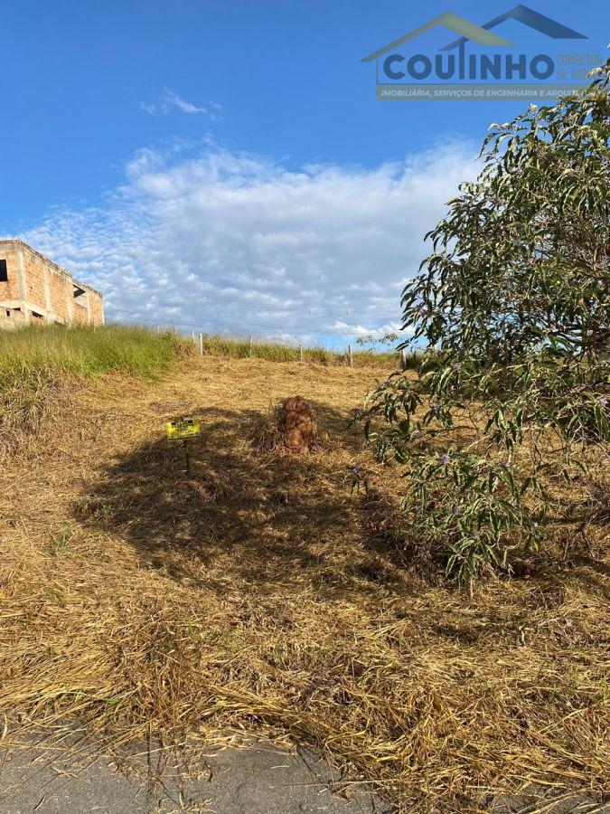 WhatsApp Image 2025-06-09 at 16.19.38 (1).jpeg